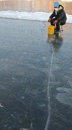 过去见过抹水泥的，今天终于见到“抹冰水混合物的”！
这是业余速滑冰场地，用冰水混