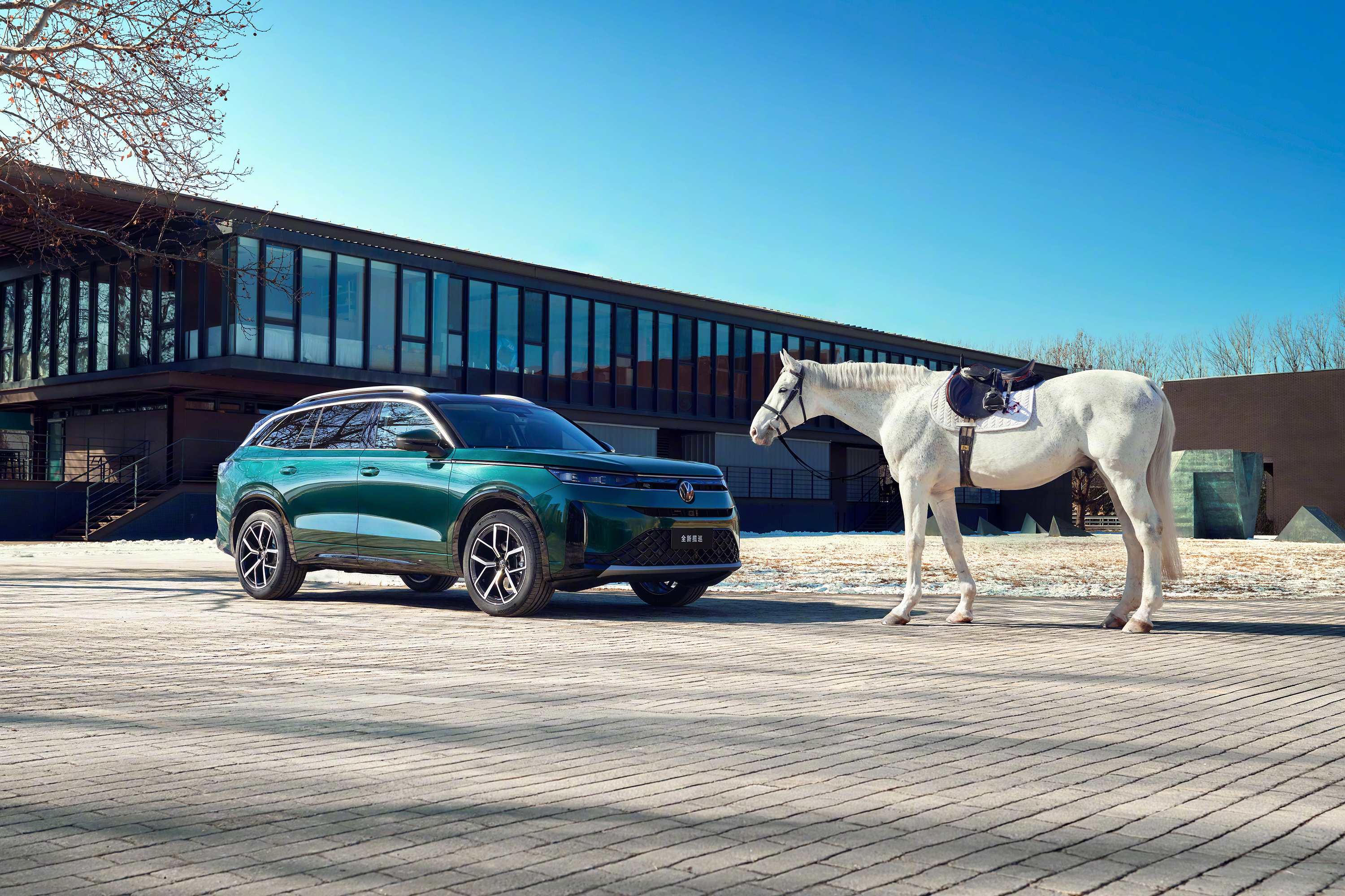 你发骉biao的样子很好看 在这个属于她的节日里，我们致敬的，是她每一种自信的、