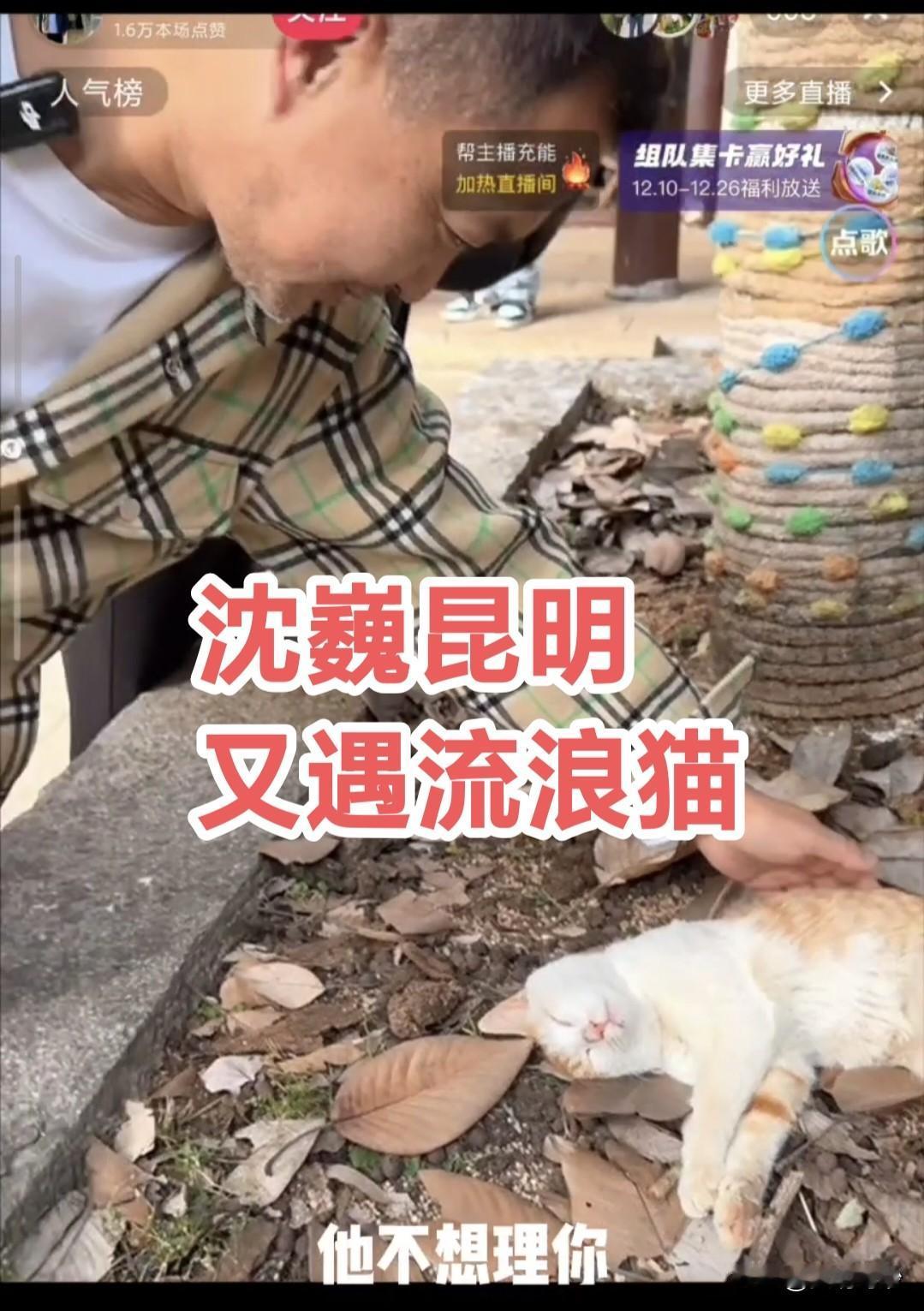 上海流浪大师沈巍昆明又遇流浪猫，这次他会带走吗？
12月20日，昆明晴好，沈巍穿