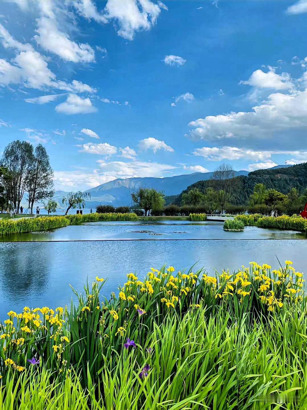 日子温暖
烟火浪漫
风里有寒
生活也要有甜
尽管时光匆匆
但自然之美永远值得我们