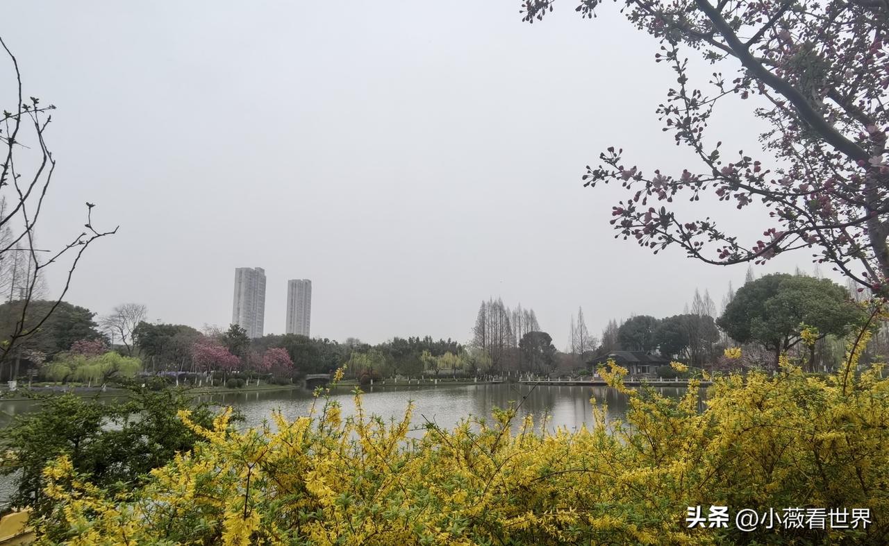 今天最热的新闻，莫过于45岁的知名人物张雪峰的死讯了！

这不由得让我想起我的一