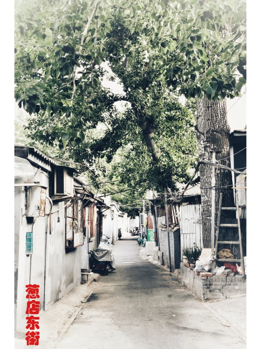胡同系列47葱店东街大经厂胡同大翔凤胡同