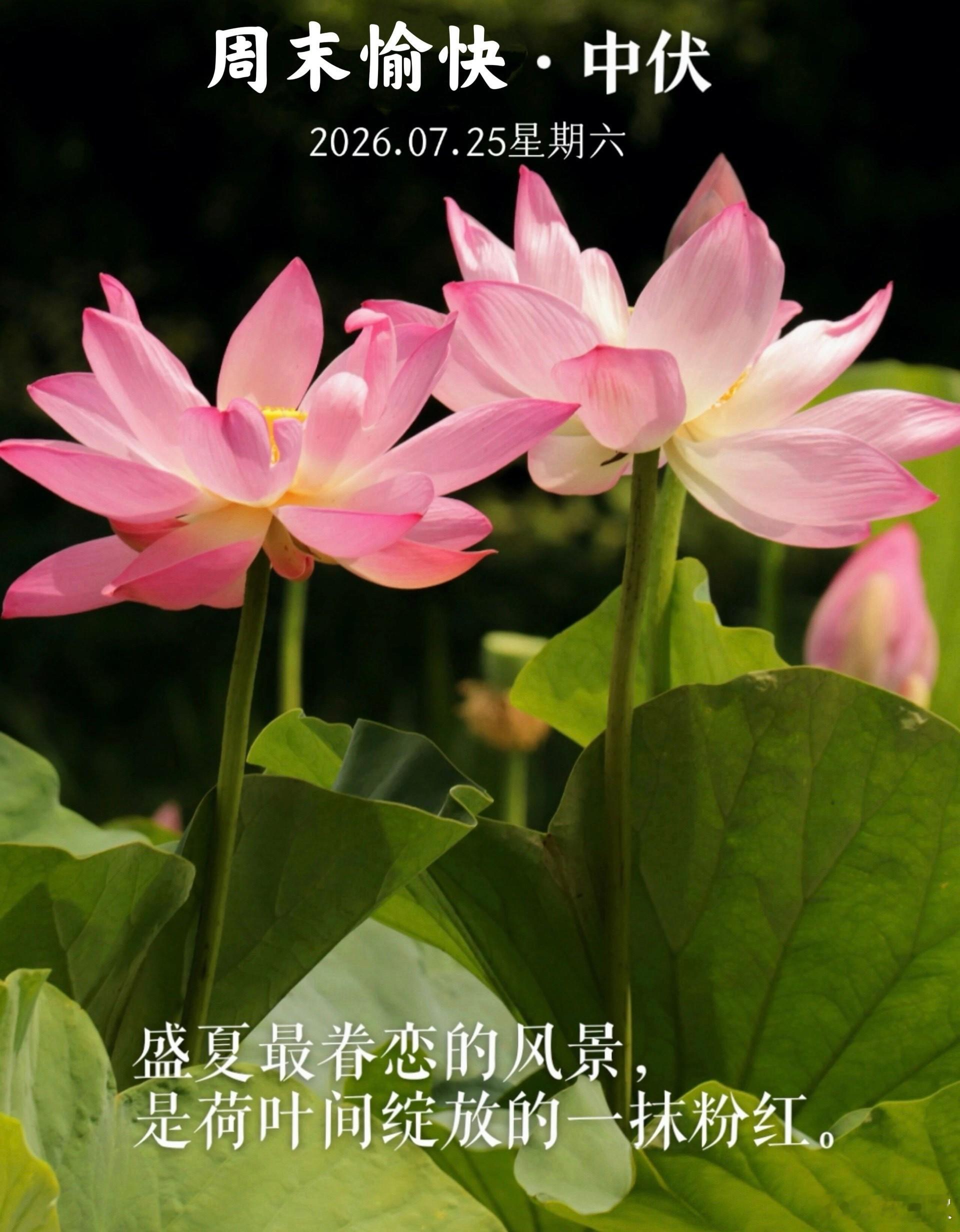 Have  a  special  weekend