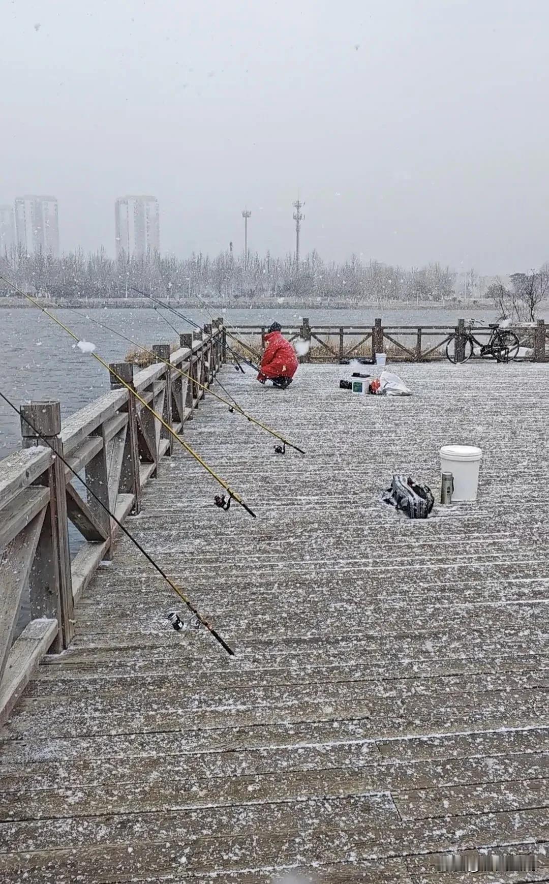 东营今日下雪了，雪下得很大，真没想到东营的雪都落在年初。早晨还是艳阳高照，到了9