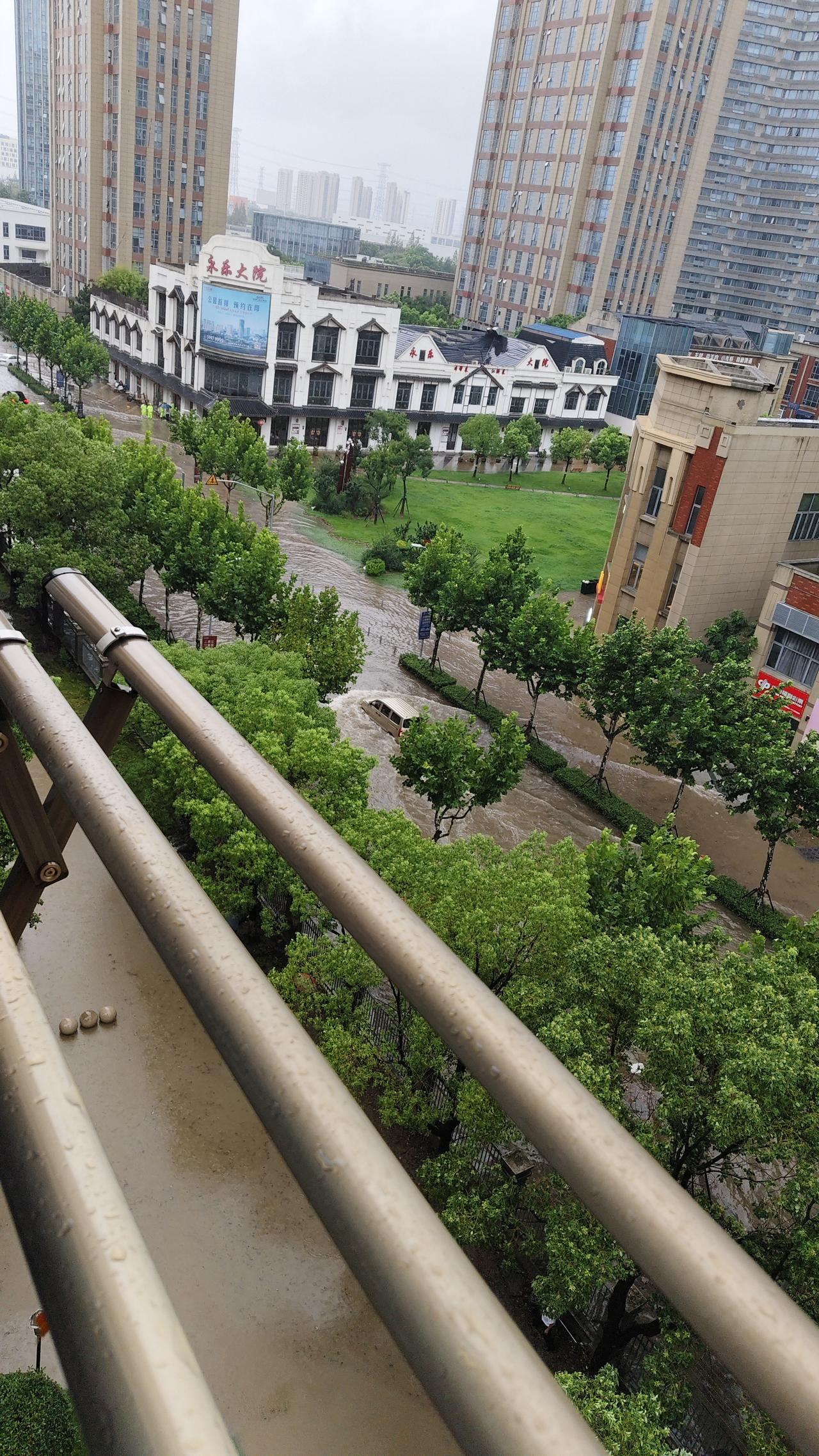 夏日生活打卡季 今年第13号台风“白海豚”，可把上海市民出行搅得一团糟。8月8日