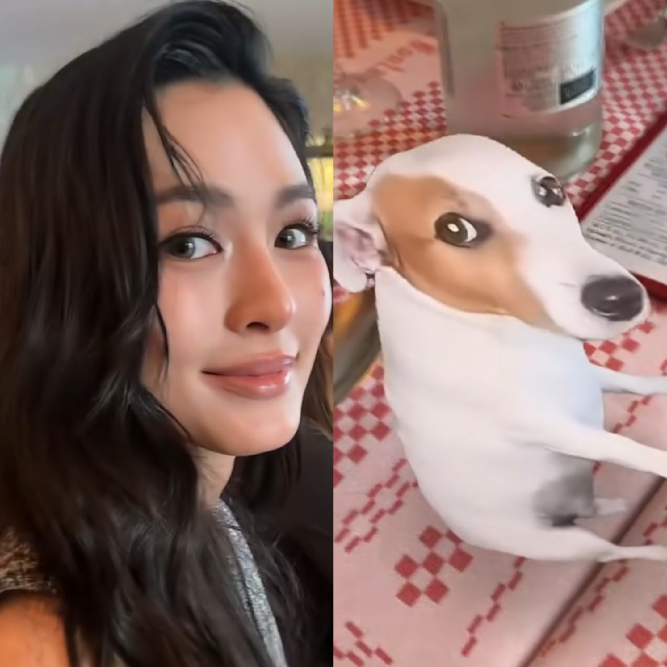 我看不懂你们 ​​​