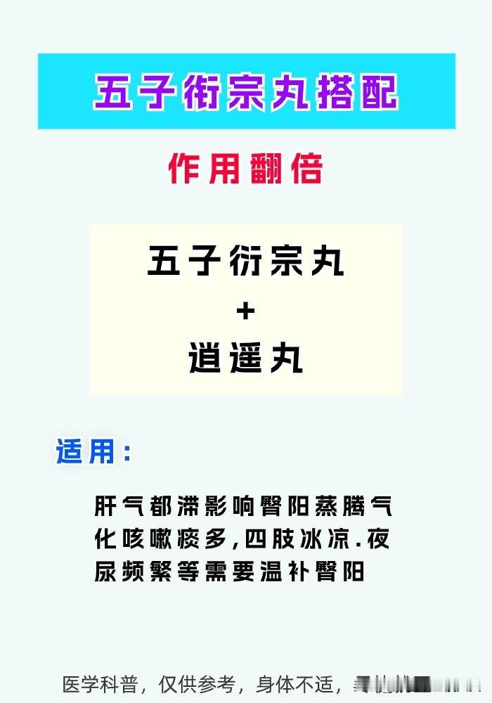 五子衔宗丸巧搭配作用直接翻一倍！#健康养生##肾虚##耳鸣#
1、五子衔宗丸搭配