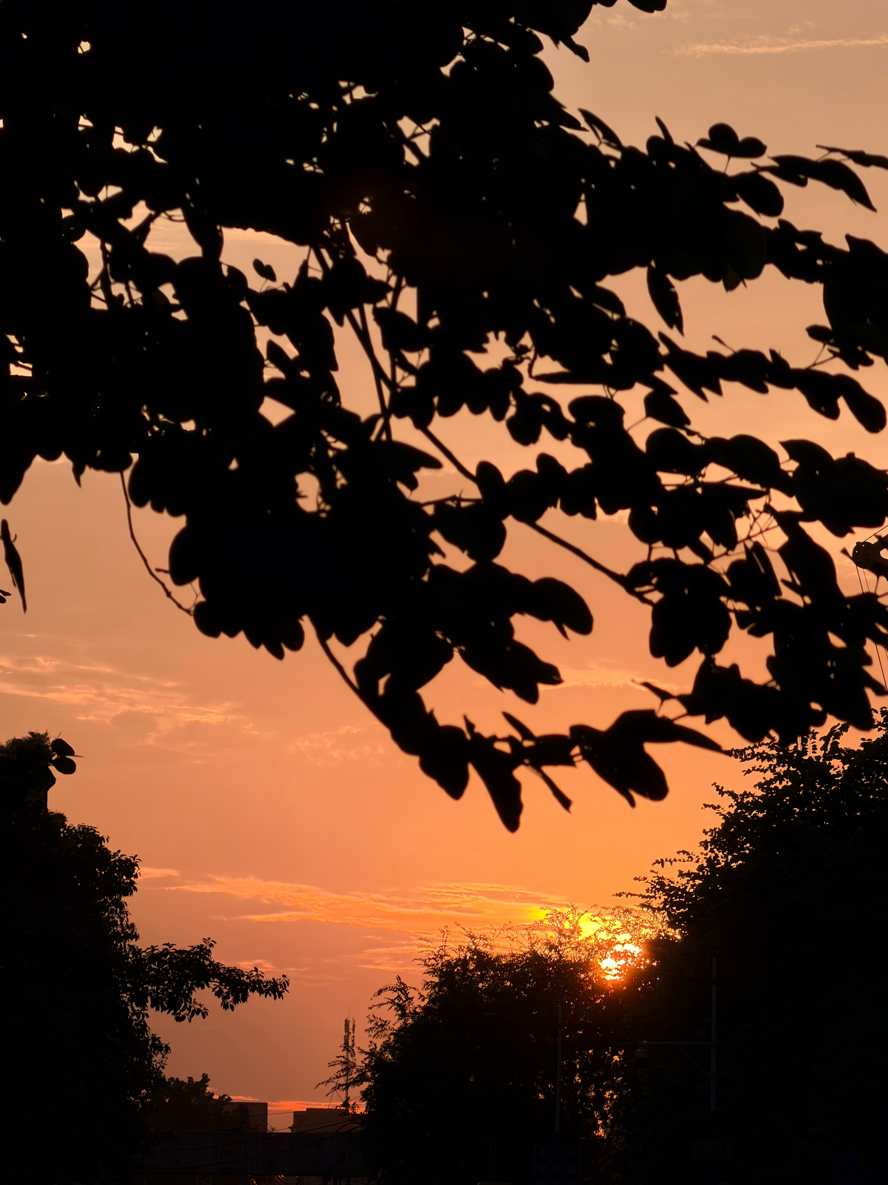 🌅 ​​​