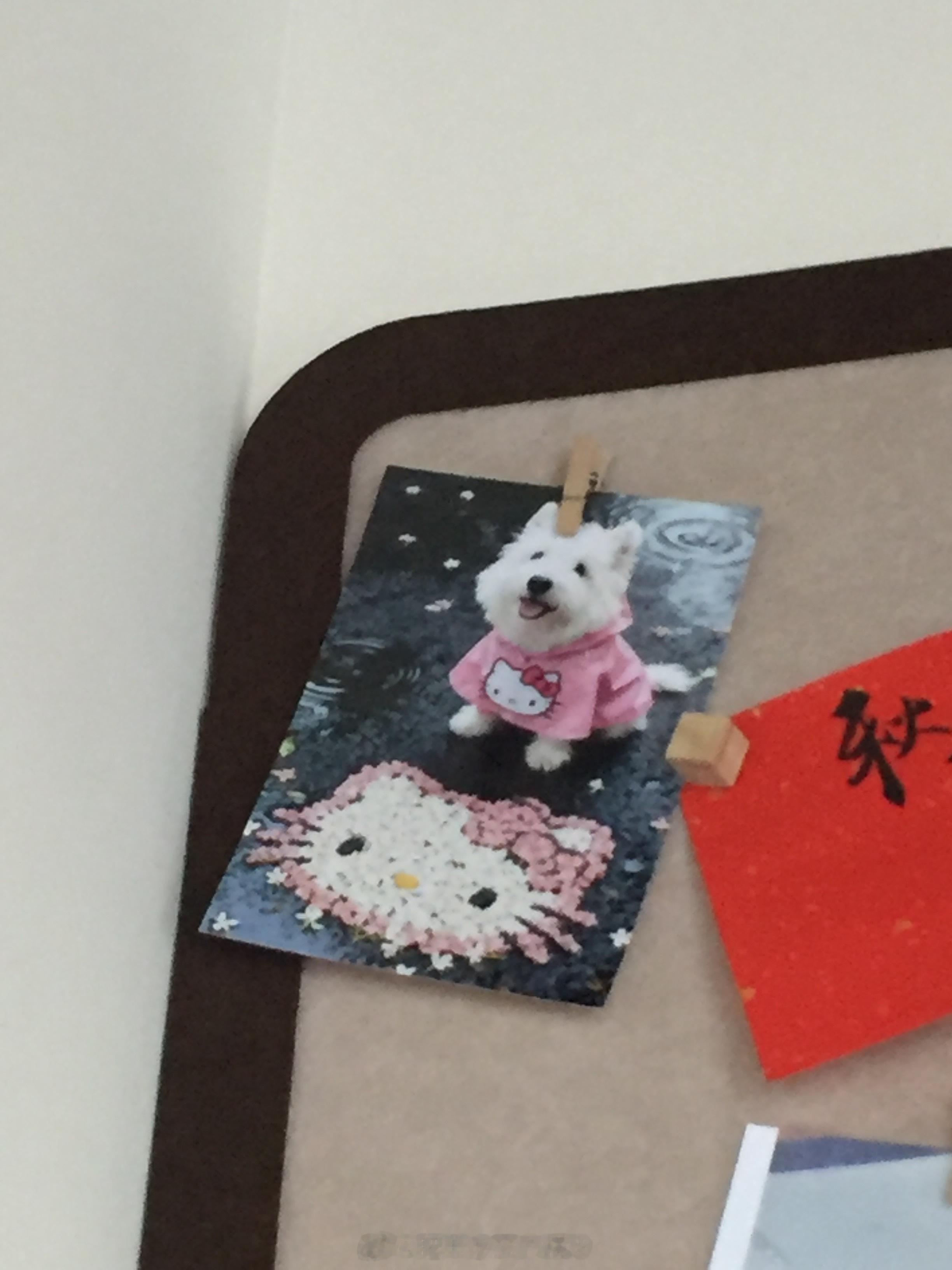 日常  Kurinini 给我可爱死了呀