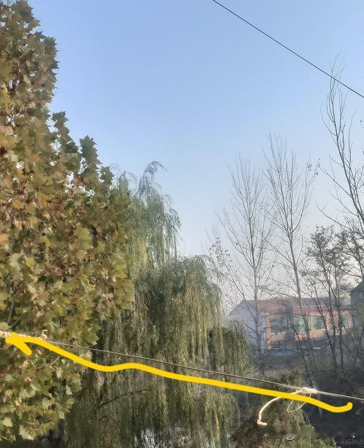 怀孕6个月被困柬埔寨，赎金涨到20万：母亲想卖房救女，又怕人财两空——吞噬她的不