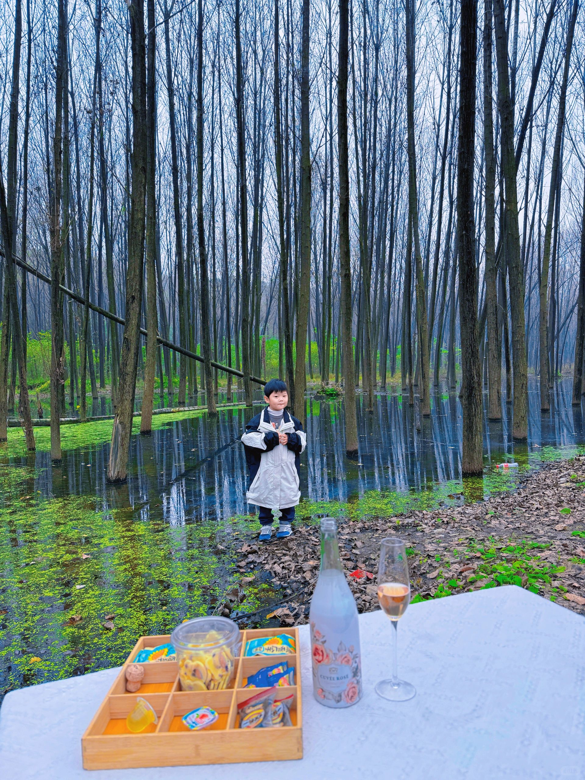 在西安🍂我遇到一片迷人的水上森林🌴