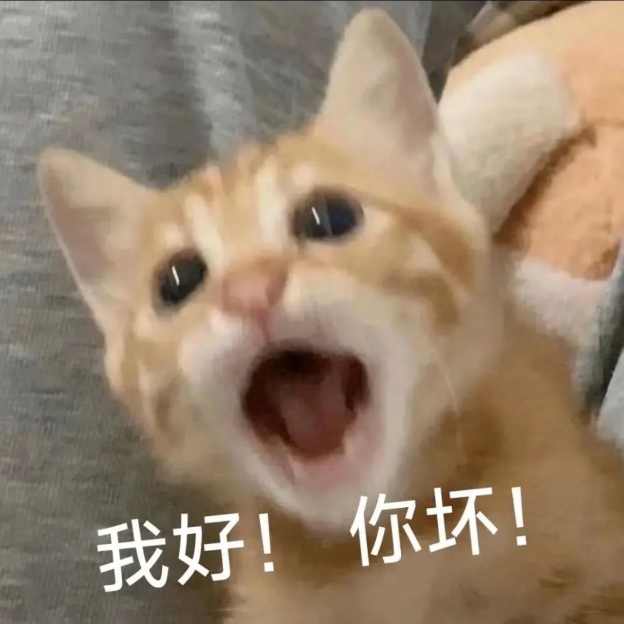 火车票开售即售罄的原因找到了原来是分批放票啊🤔难怪我只能一直候补
