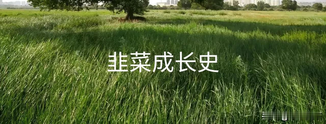 底部放量，量从哪来的？
这个问题是昨天一位粉丝朋友心中的疑问。
我在炒股周期论中