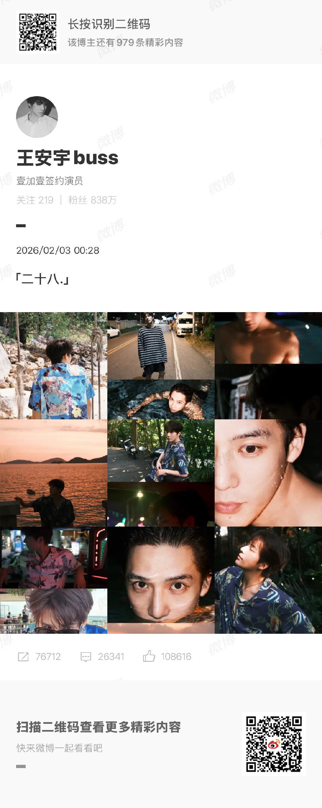 王安宇配文王安宇28岁庆生照，配文二十八 