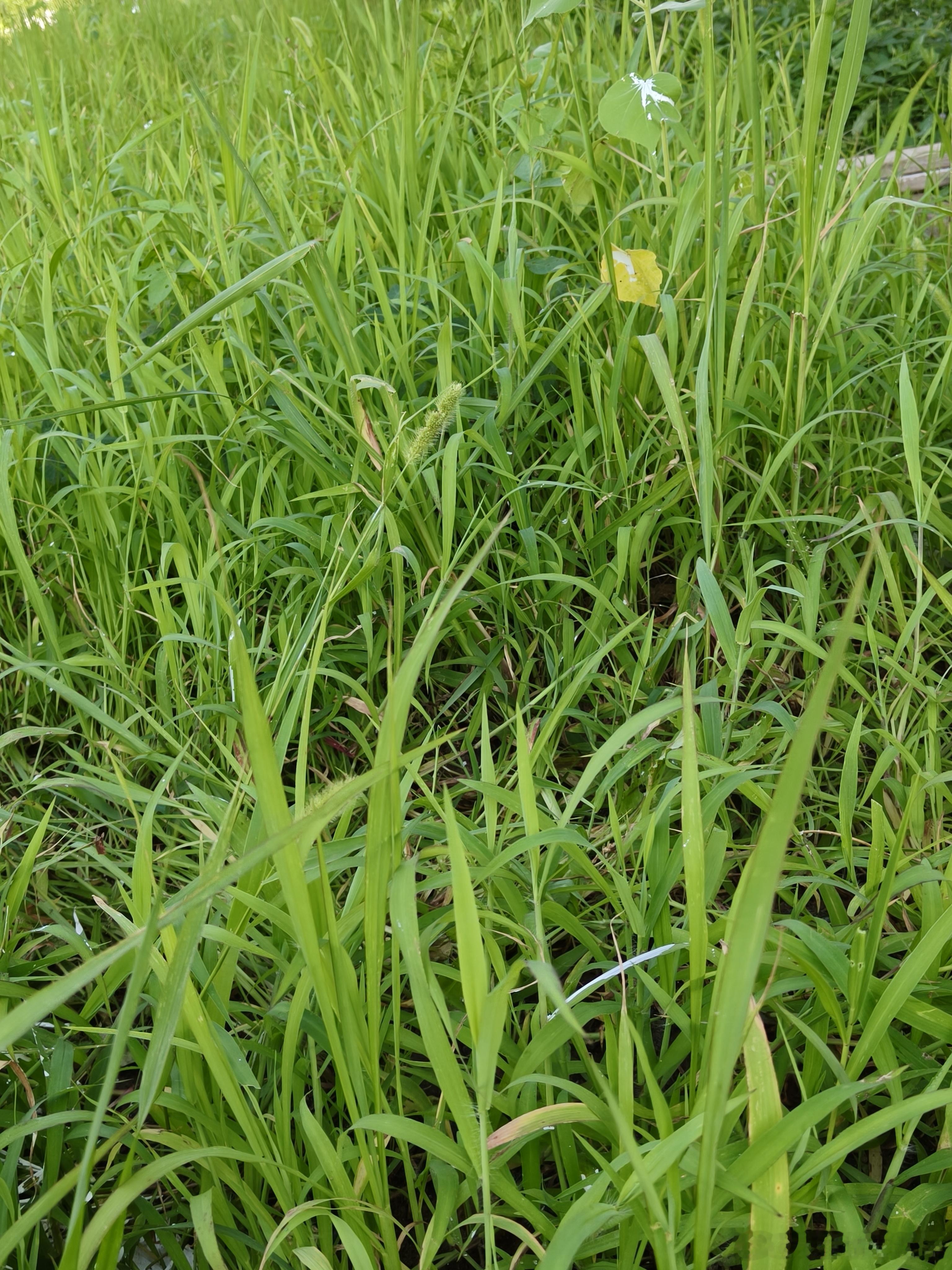 一辈子很短，要么有趣，要么老去。在有限的生命里，做个有趣的人，阅尽风华，依然热爱