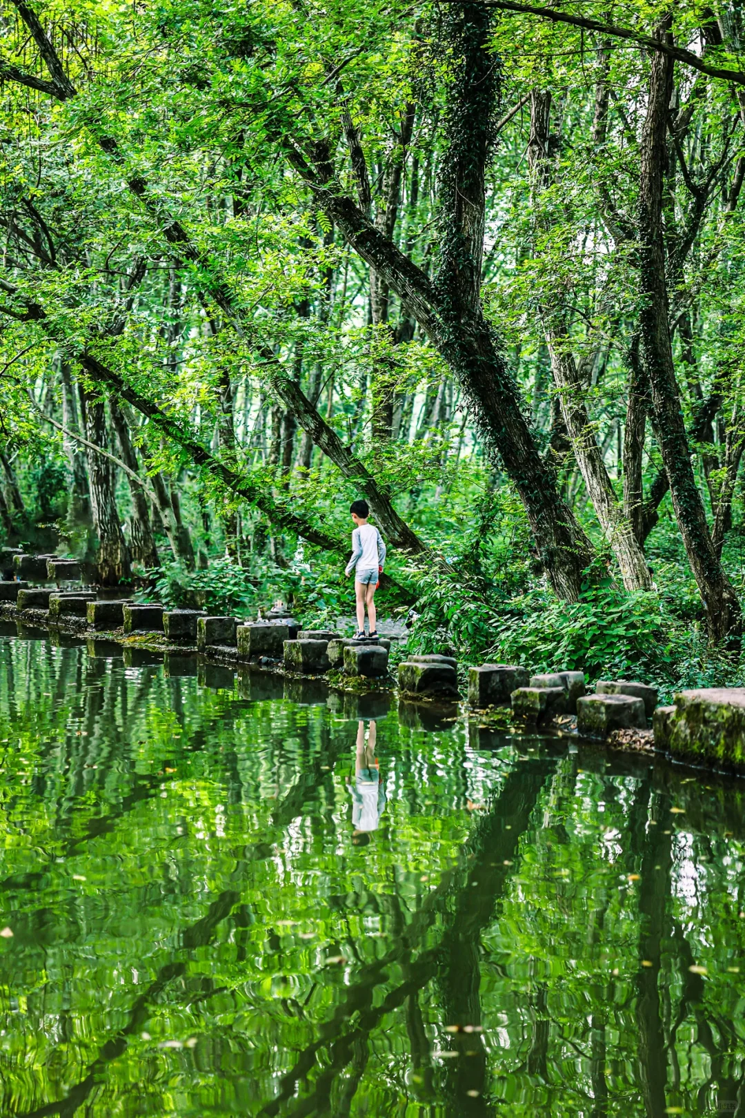 南京自驾出发，带娃玩水一整天的隐秘古村🍃