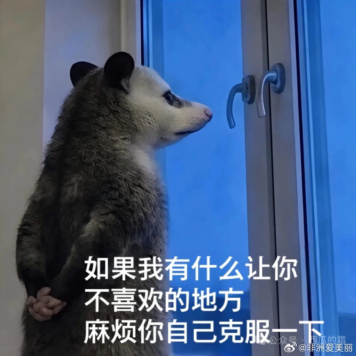 特别喜欢那些清爽明媚的女孩子，就比如外表，长头发，别又油腻又鸡窝，短头发，别鲶鱼