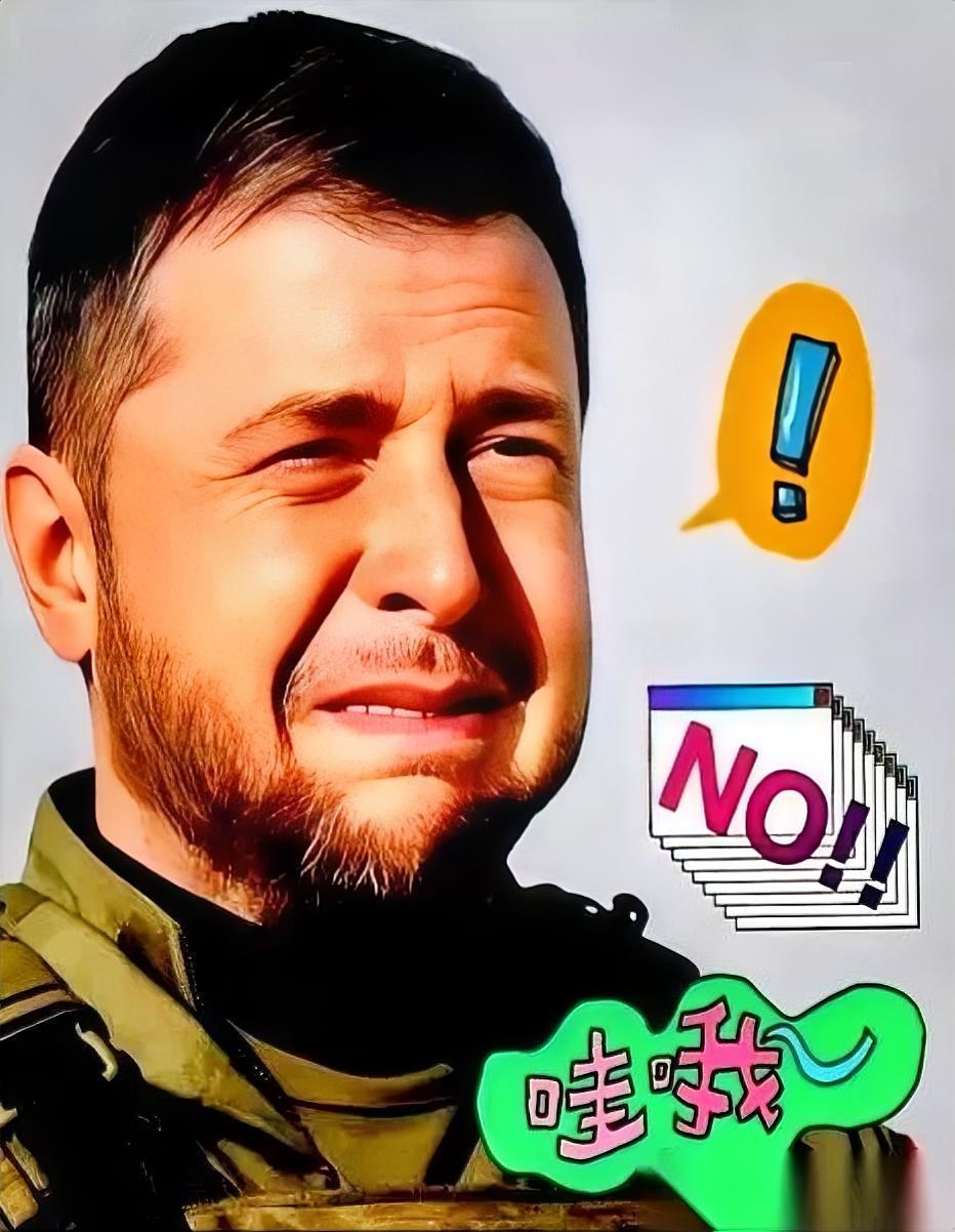 泽连斯基放话：2026上半年终结四年俄乌战事！巴黎峰会砸下真金白银撑腰
 
打了