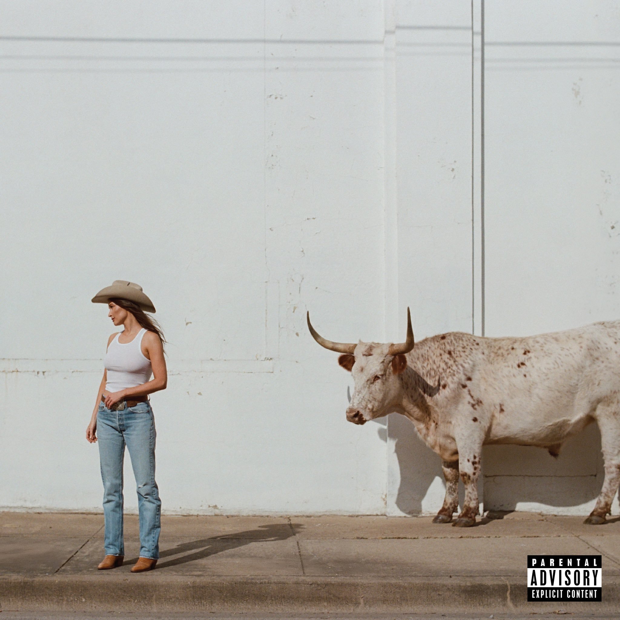 【流媒速览】Kacey Musgraves 第六张录音室专辑『Middle of