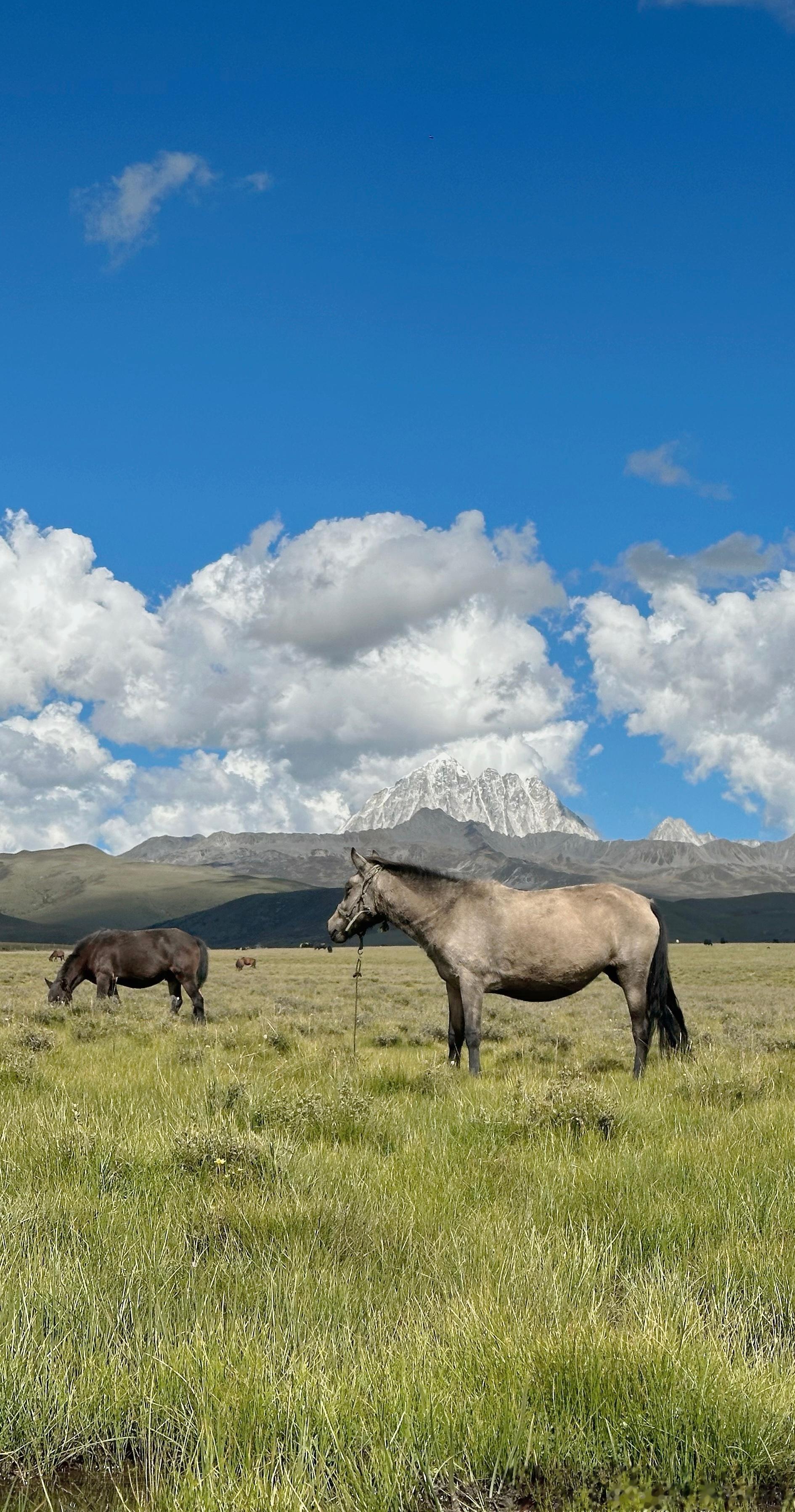 草原的女儿🐎 ​​​