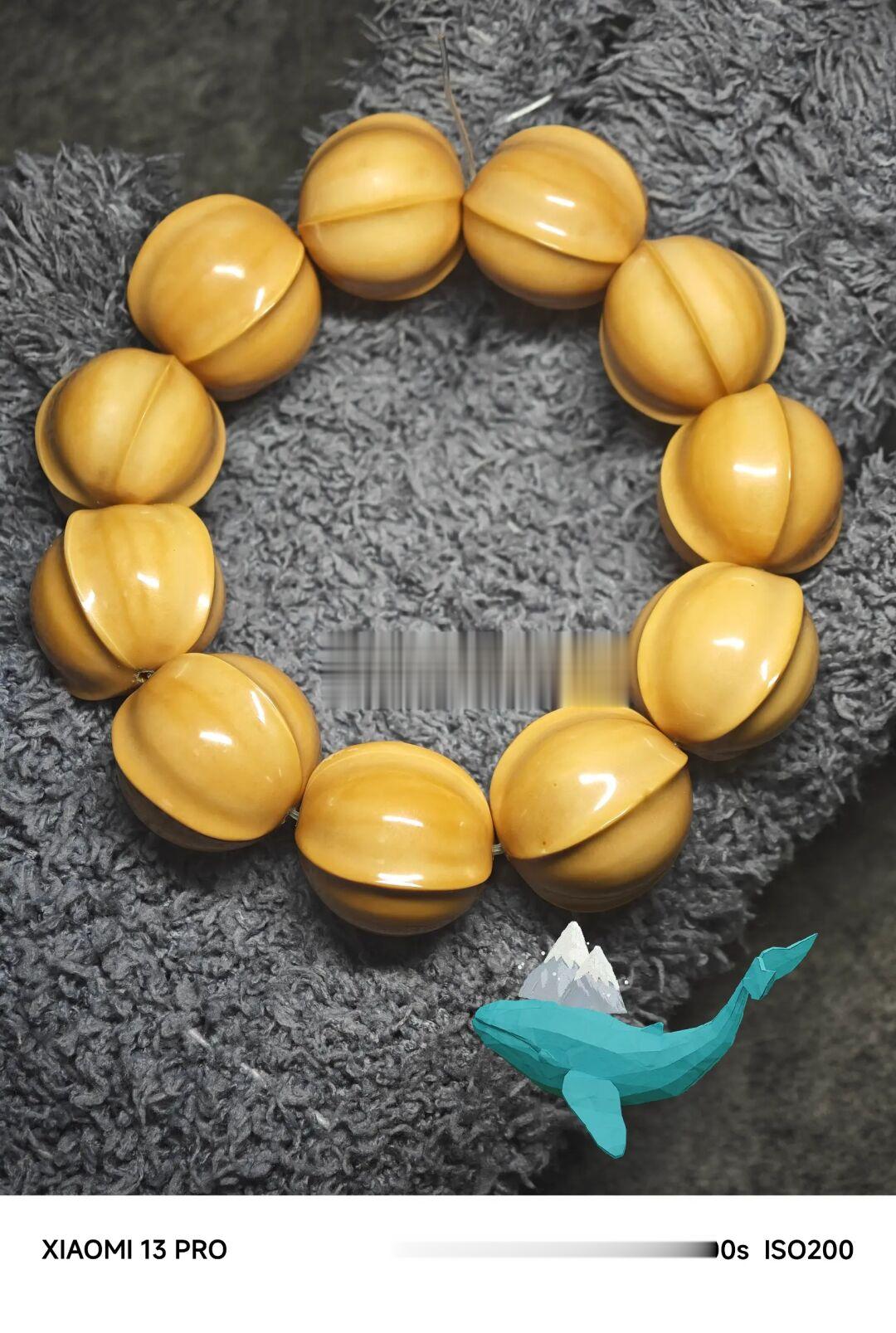 NO.282 猴头鲨鱼鳍怎么样