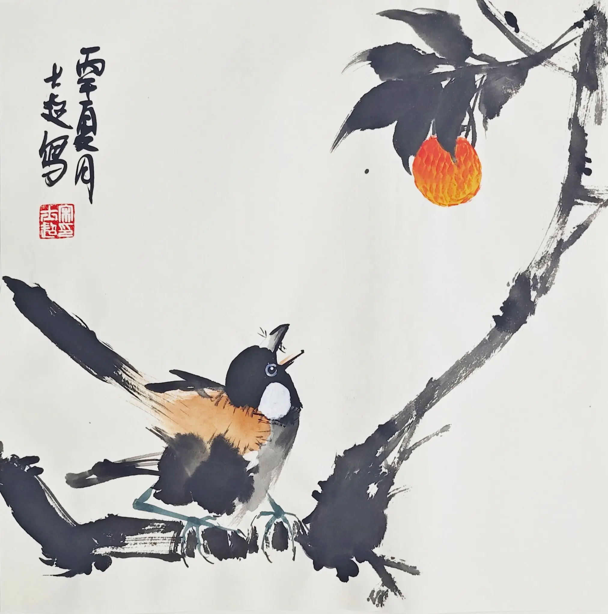 瞎画。    花鸟小品
