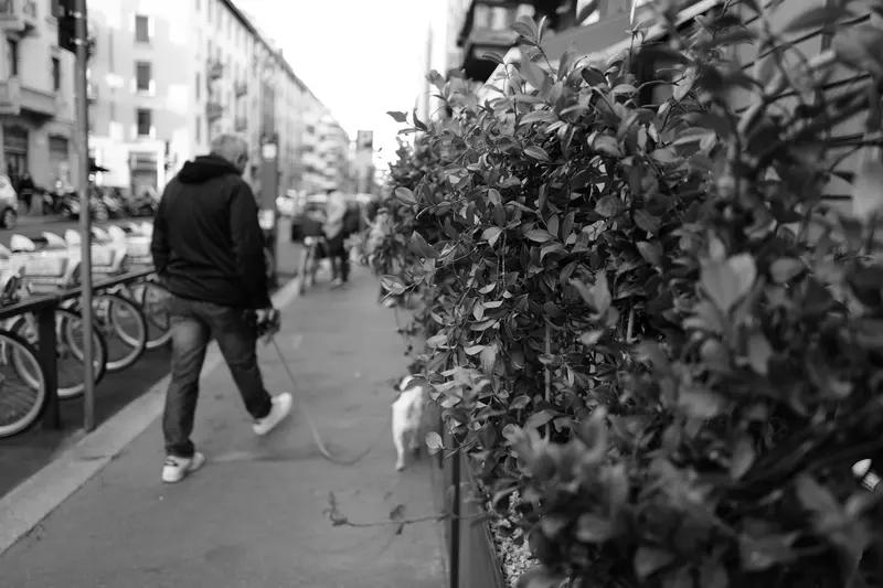 姚明亮相米兰街头传火炬 外国路人驻足围观成街头焦点
 
米兰街头迎来冬奥火炬传递