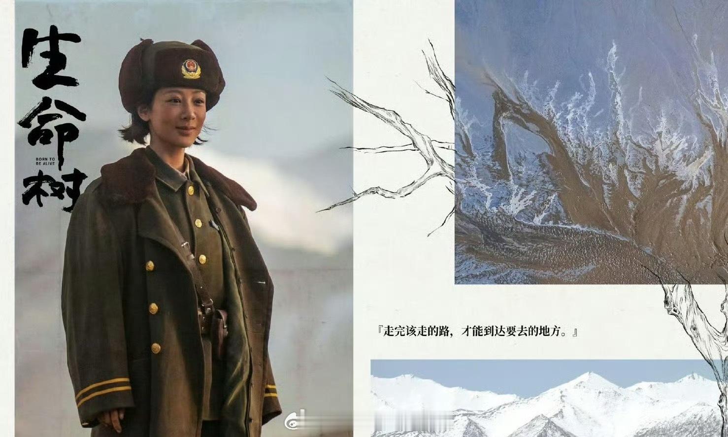 《生命树》播前招商啦，这个项目看点和杨紫胡歌的组合你期待吗