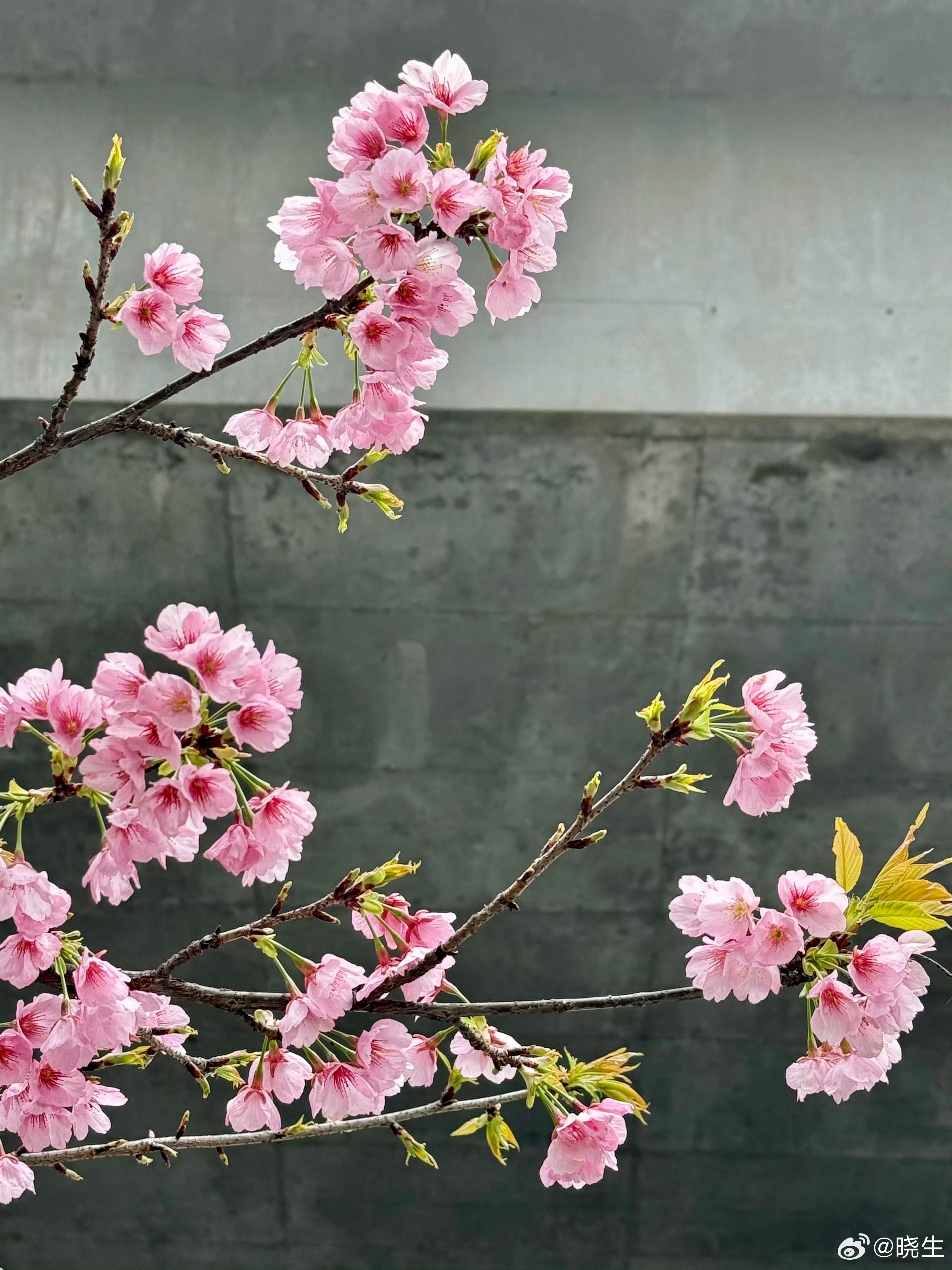 很多人把“主动”和“被动”理解成行为问题，其实完全错了我见过太多关系表面上是她在