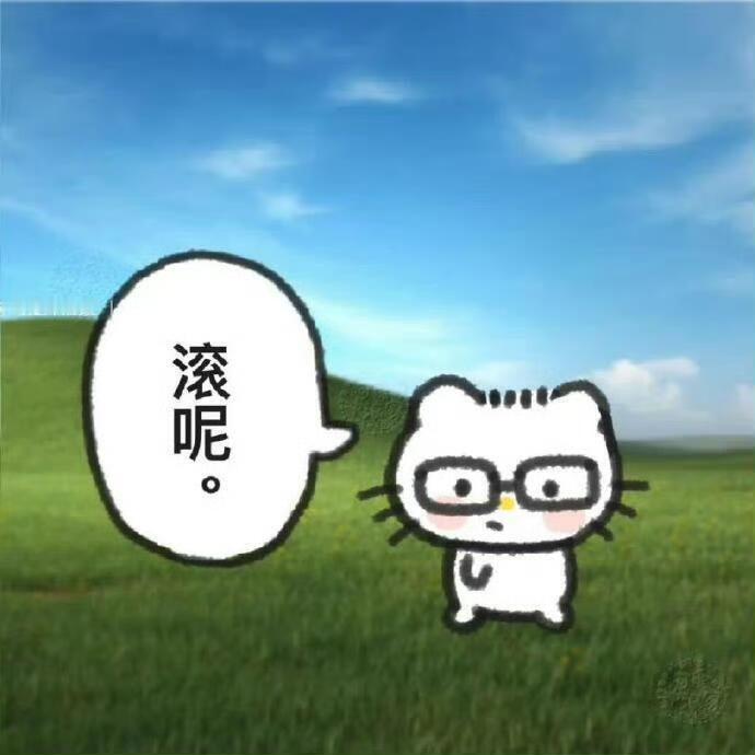 𝗦𝗛𝗔𝗥𝗘 - 最近爱用的聊天表情包 夏日企画