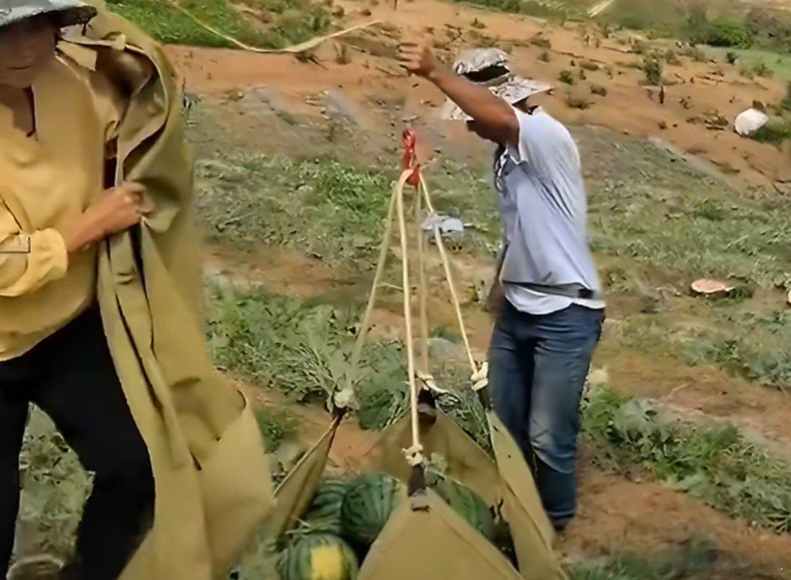 中国农民用无人机运西瓜走红外网建议用个筐吧，万一掉下来砸到人就不好了 