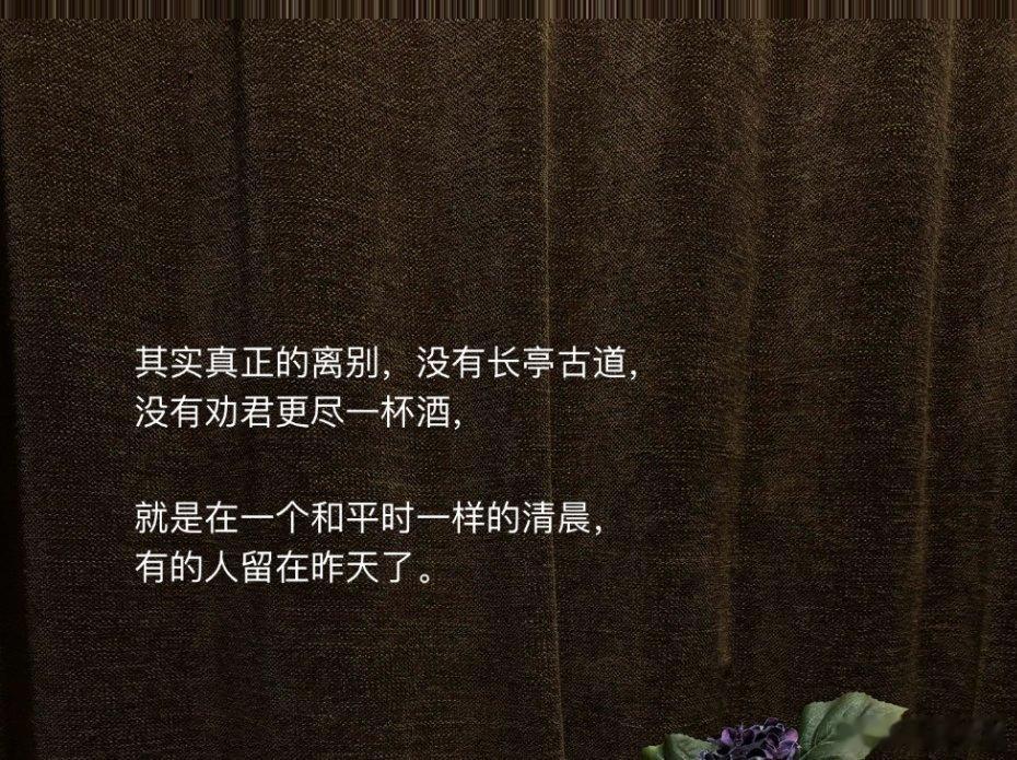 今年算是我成长很快的一年。我的情绪好像是比之前更稳定了，我的工作和生活，也规律了