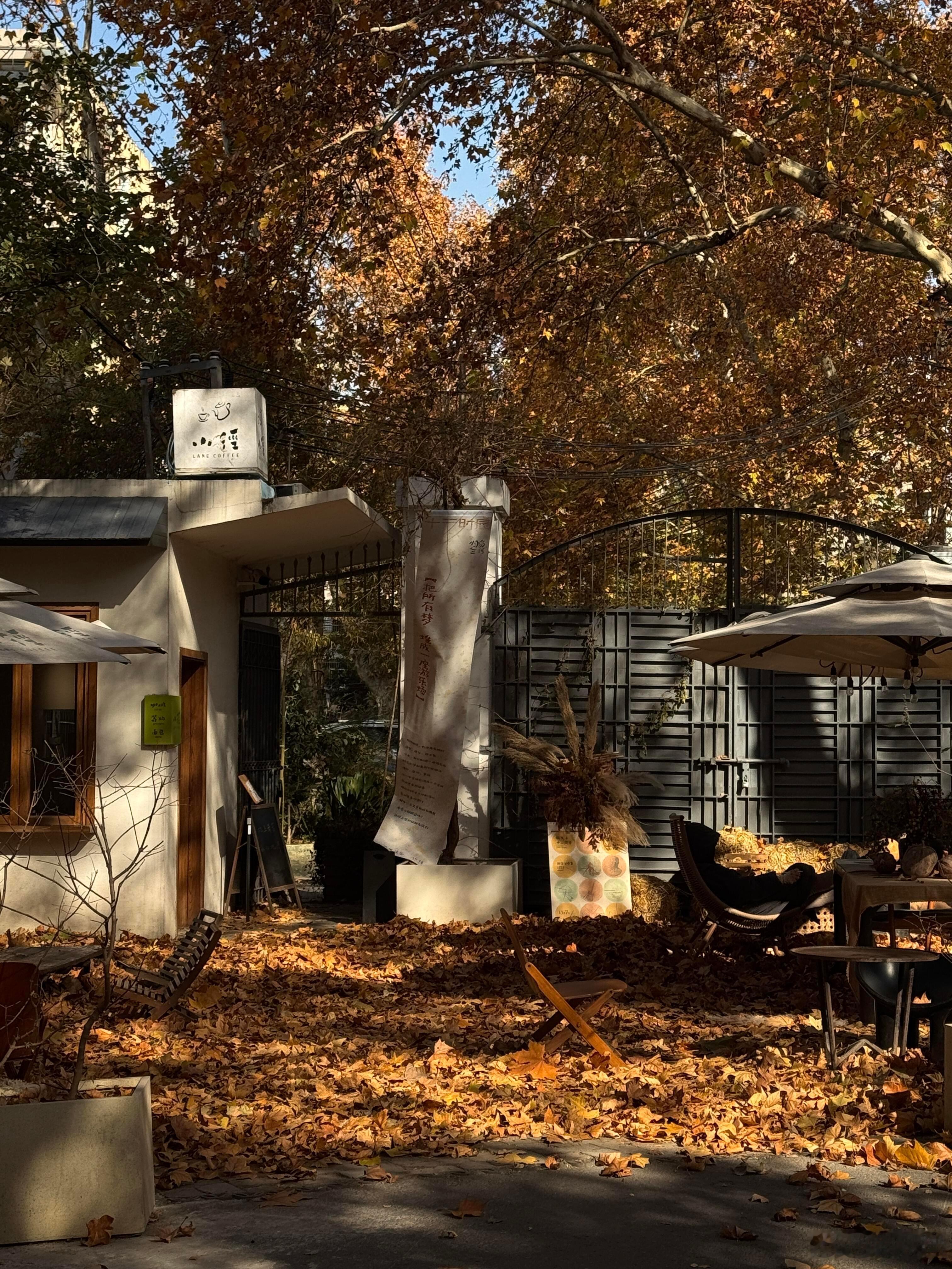 “因为爱你，所以我不为难你，因为懂你，所以，我理解你的苦衷，你的权衡利弊，知道你