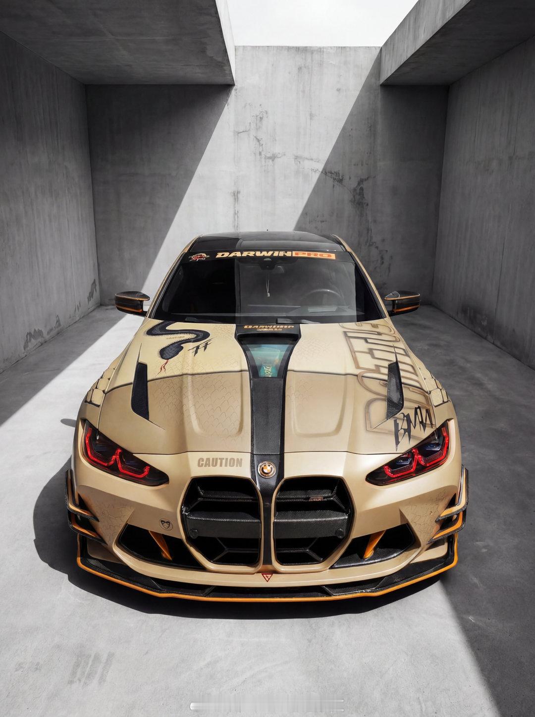 iMP-Performance BMW M-Power🌈DarwinPRO