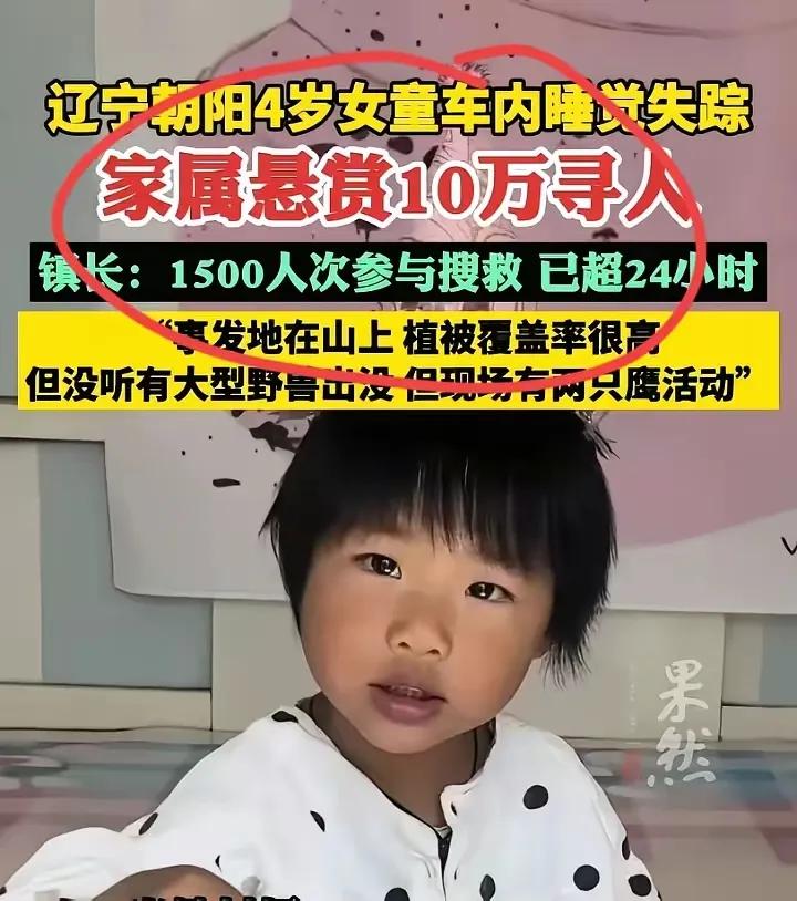 辽宁朝阳4岁女童车内睡觉失踪，家属悬赏10万寻人，历经搜寻后孩子平安找到。可评论