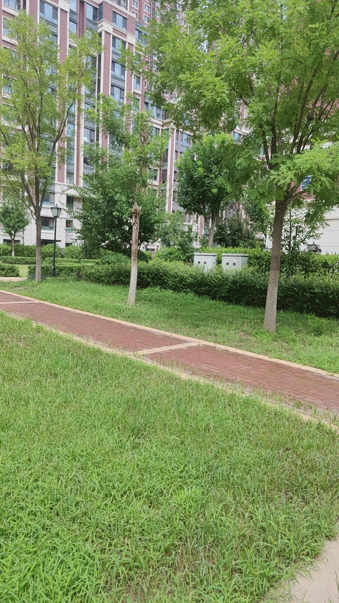 宽容与不完美。今天看了上一段视频，一群幼儿园小朋友拍篮球，其中一位小朋...