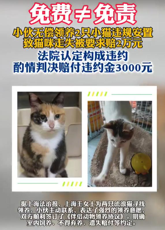 【小伙弄丢了免费领养的猫被要求赔2万】弄丢免费领养的猫男子被判赔3000元近日，