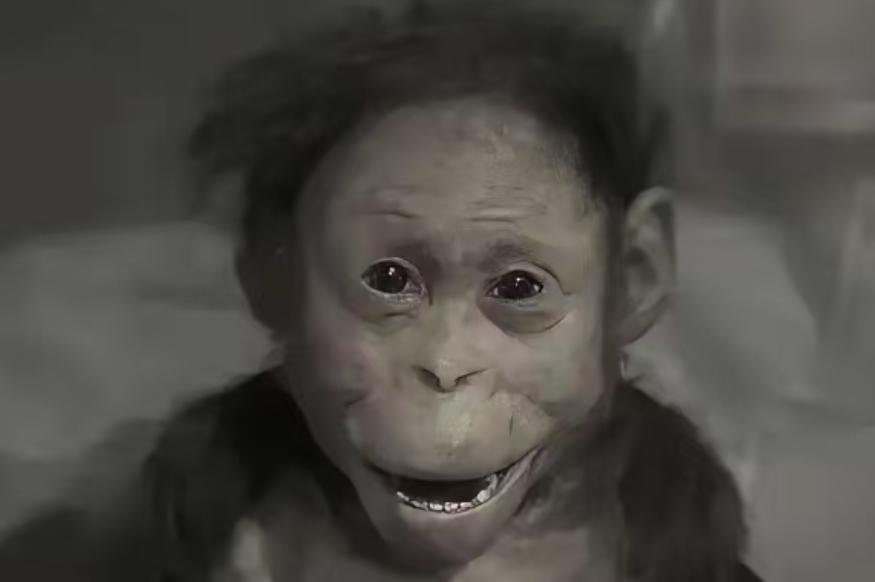 民国初年，一个