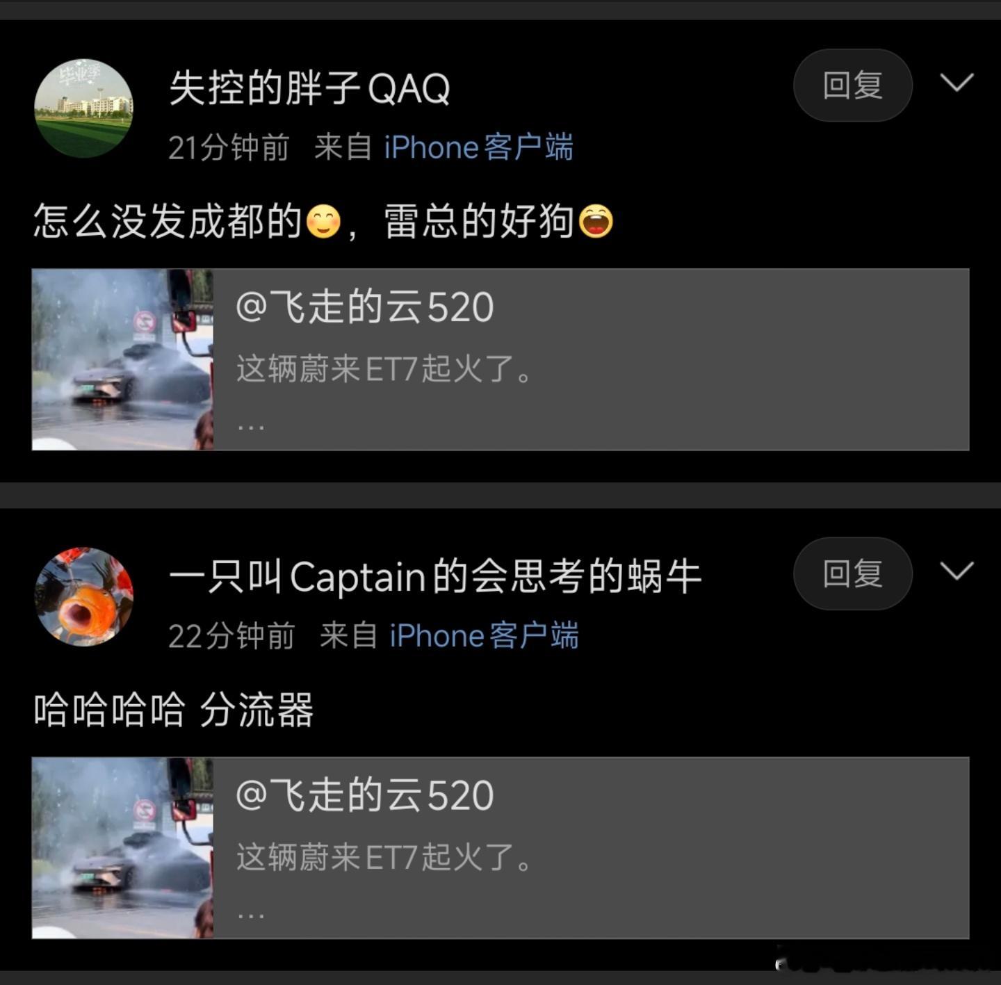 几个蔚来粉，阅读理解不行骂人倒是挺行的 ​​​