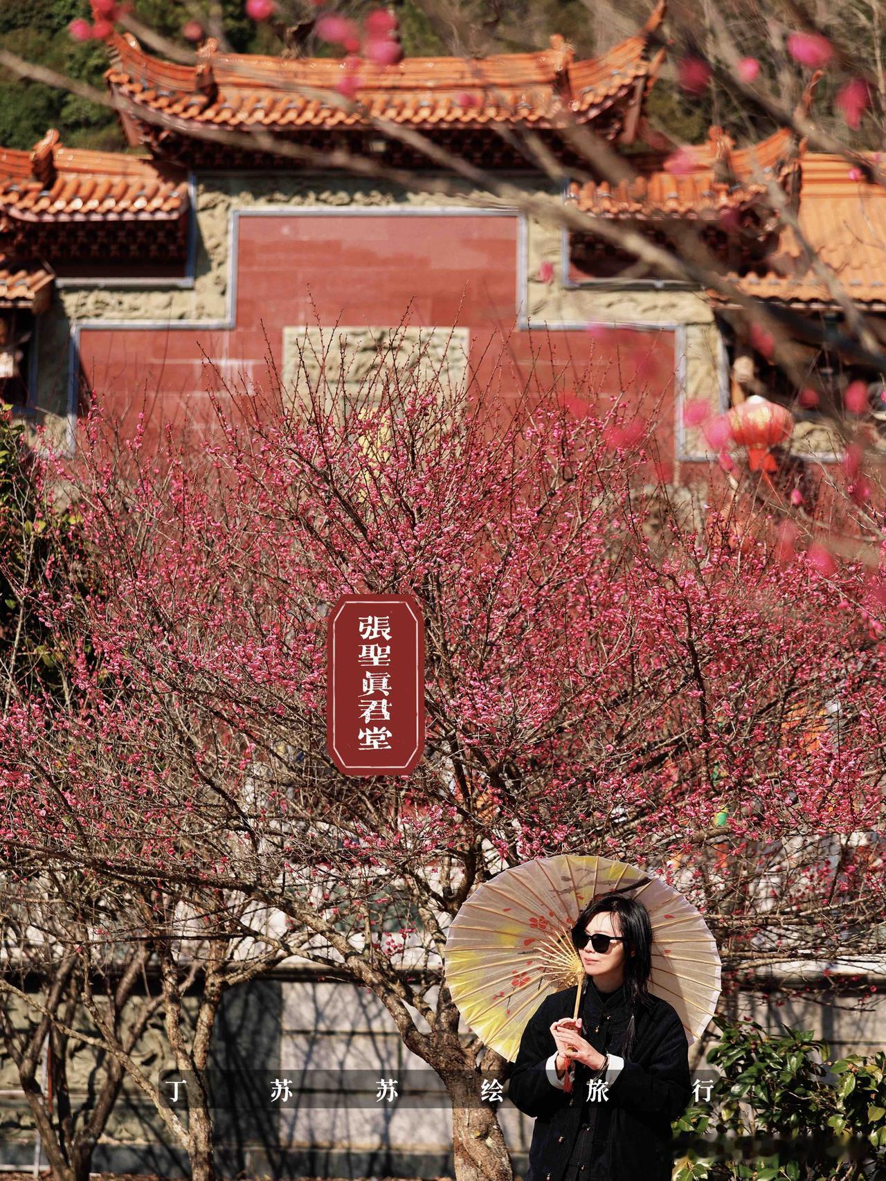 【落红不是无情物，化作春泥更护花】
在做福州赏梅地图的时候，就提到过梅洋村了，2