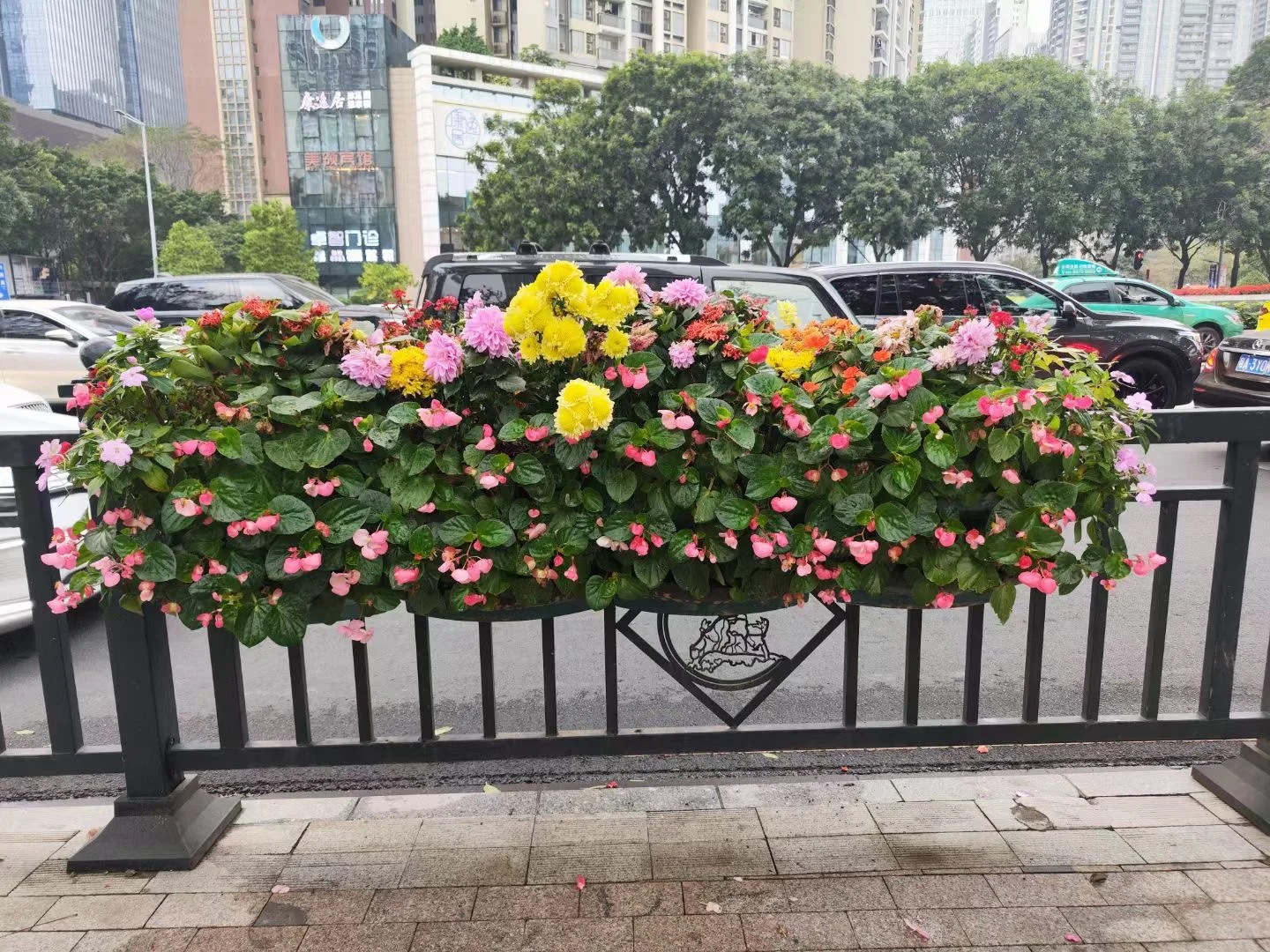 一起看花吧带娃也很幸福