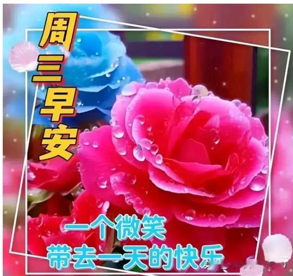 早上好友！周三快乐；
佳作精彩！文采斐然！
赏心悦目！才华横溢！
[赞][赞][