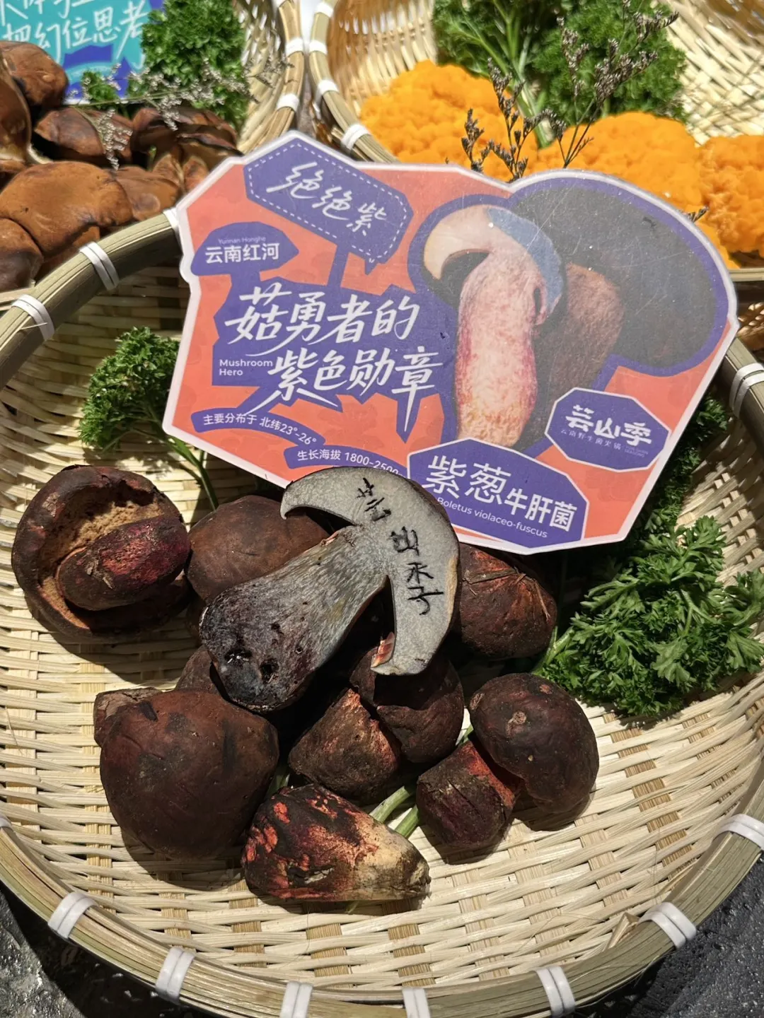 终于光环也有了！云南野生菌一口鲜掉眉毛