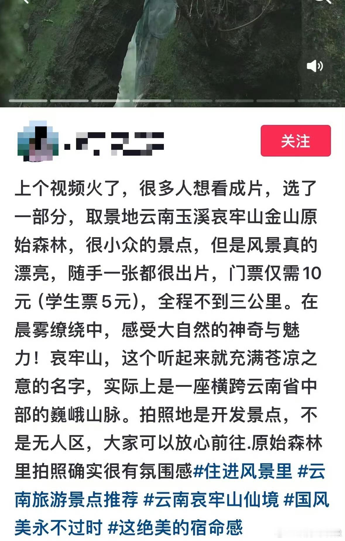 #当事人回应在哀牢山拍写真#为了拍好看的照片，什么都敢啊？感觉还是要对大自然有点