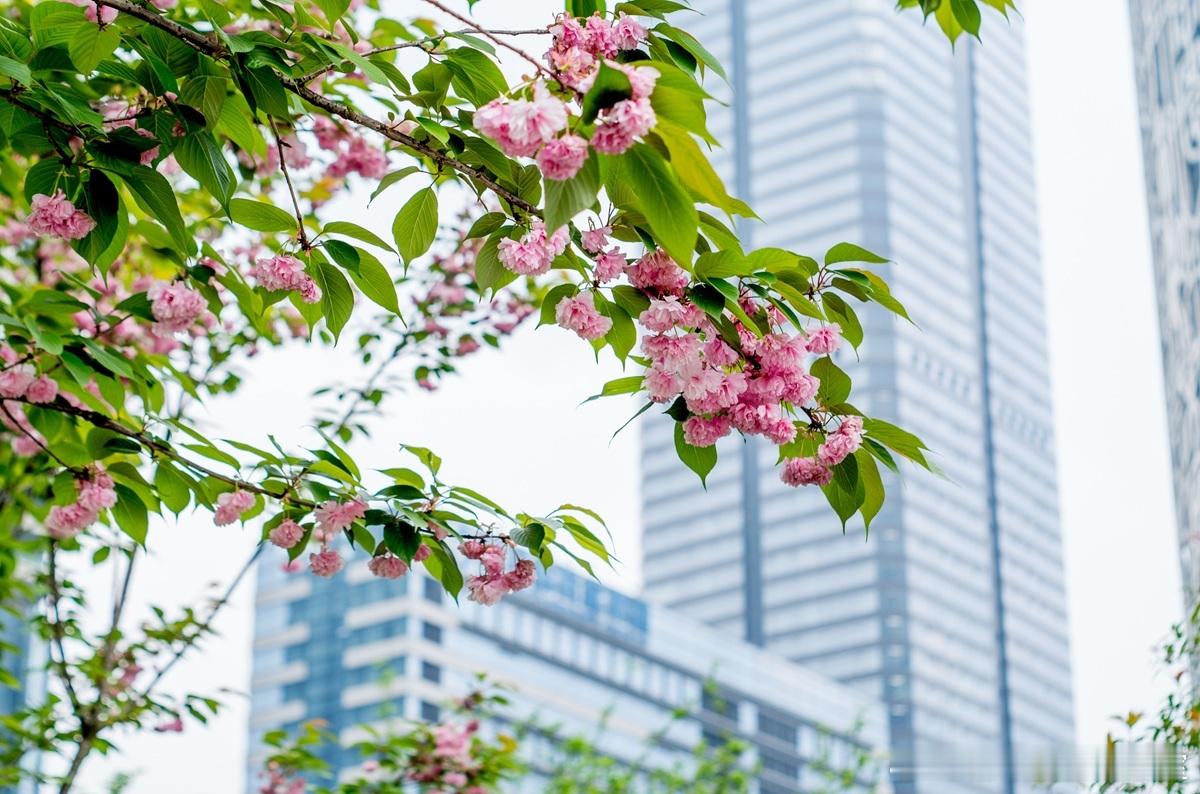 我做了50多场创赛的评委，哪些BP会受投资人青睐？团队很重要，一上台就要让我觉得