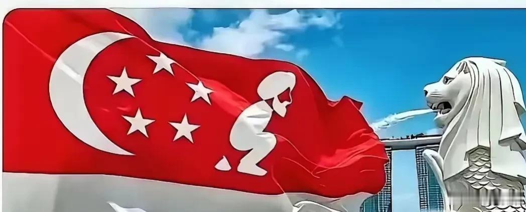 令新加坡人彻底破防的是有人竟然魔改了他们的国旗，将印度因素硬生生塞进了自家那面高