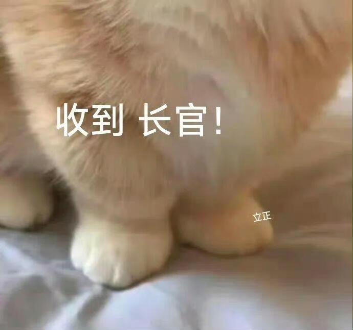 沙雕表情包又增加了！ ​ ​​​