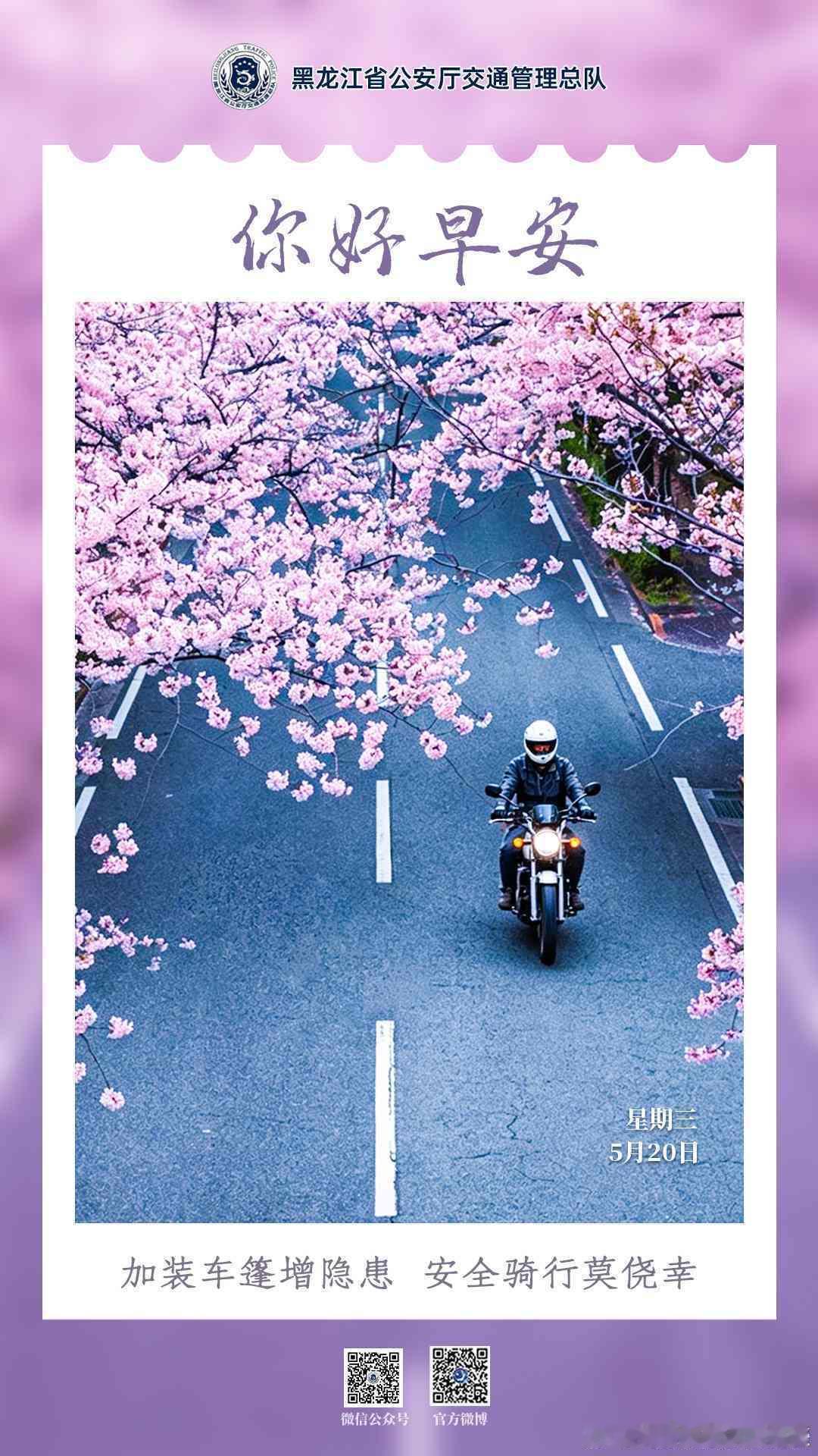 早安 加装车篷增隐患，安全骑行莫侥幸。早安早安心语早安龙江早安高小黑 （