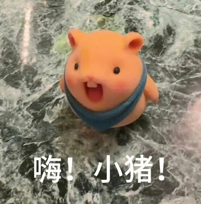 等小猪 