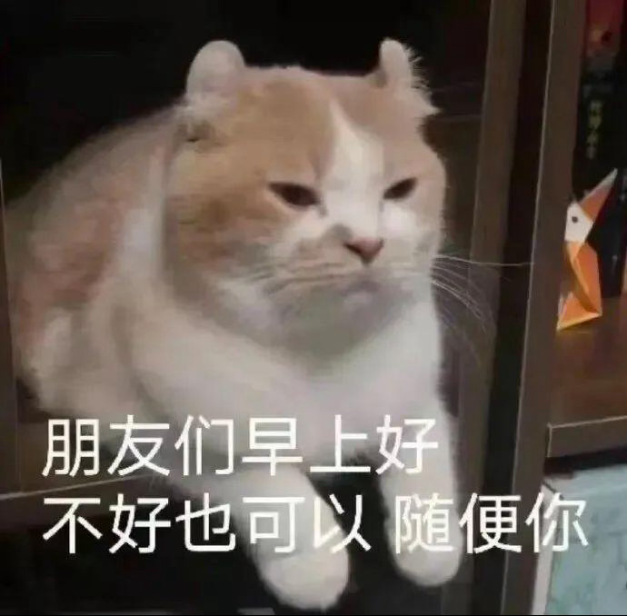 早上坏… 